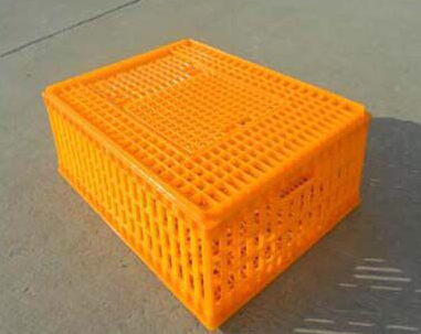 poultry cage mould