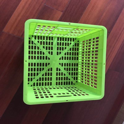 Mango crate mould 